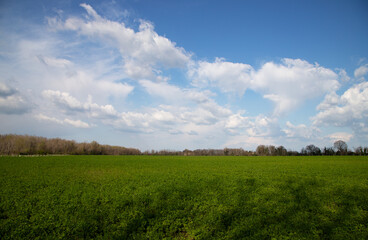 Agricultural field with forest horizon cloudy sky rural landscape nature photography scenic view