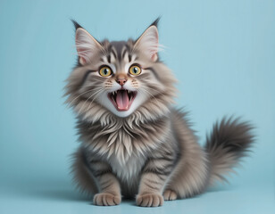 Shocked Cat with Wide Eyes &ndash; Funny and Surprised Expression