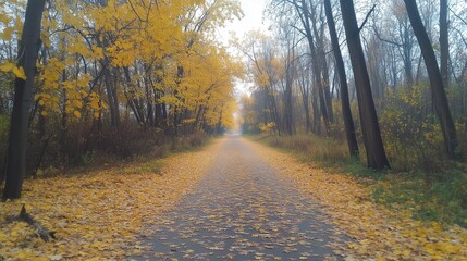 Obraz premium A serene forest path lined with glowing golden leaves, enveloped in soft morning mist, capturing the beauty of seasonal change and tranquility