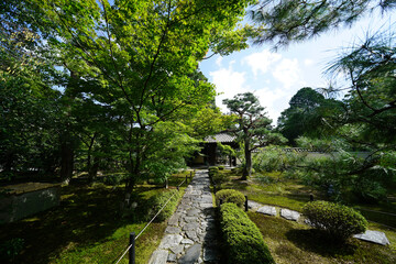 京都鹿王院の参道の風景
