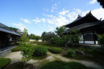 京都鹿王院の境内の風景