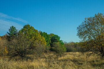 Fototapeta premium warm autumn in rural areas
