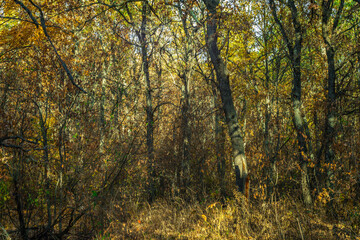 warm autumn in rural areas