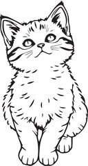 Cute kitten. Hand drawn vector illustration