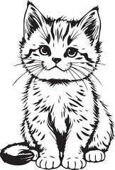 Cute kitten. Hand drawn vector illustration