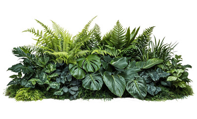 Lush green tropical plants arrangement featuring various ferns and broad-leaved foliage plants in different shades of green, creating a dense botanical display on transparent background © Kafa Labs