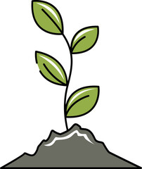 plant Illustration on a white background