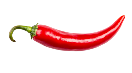 Glossy chili pepper with smooth skin and curly stem, cut out transparent