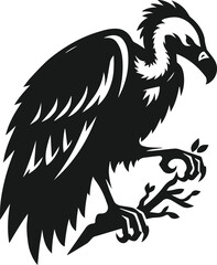 Obraz premium Vulture bird animal silhouette