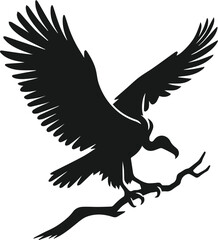 Vulture bird animal silhouette