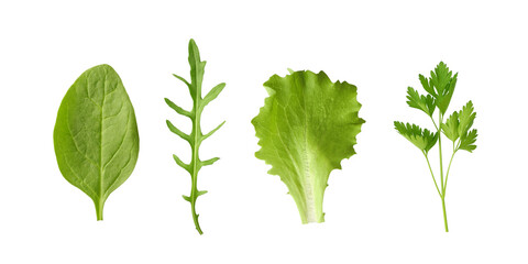 Fresh baby leaf greens, spinach, lettuce salad, arugula and parsley, isolated on white background top view