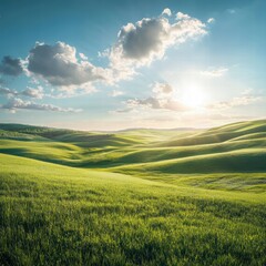 Obraz premium A large open field of bright green grass, the sunlight shining down and creating a natural, lifelike glow on the grass while the vast blue sky extends above, adding openness to the scene