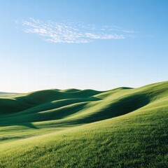 Obraz premium A panoramic view of a grassy hill, the light filtering through the blades of grass, creating subtle shadows that enhance the natural texture of the field, with the blue sky stretching far and wide