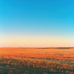 A large, flat field at sunrise, with the first light of the day casting a soft golden hue over the grass, and the vast blue sky above offering a clear, bright backdrop