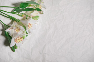 background for text and design with white colors