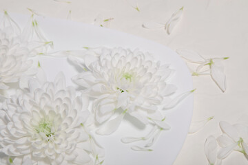 top view of a large white flower on a light background with scattered petals