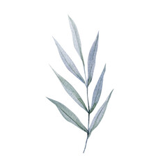 Watercolor tropical greenery branch leaves, hand painted botanical illustration, isolated plant clipart white background