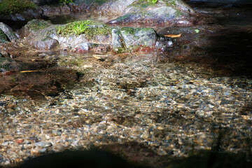 山間の青く美しい清らかなせせらぎ