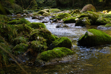山間の青く美しい清らかなせせらぎ
