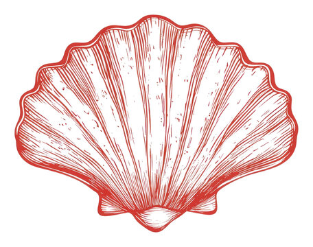 PNG Sea shell illustration seashell nautical.