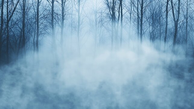 A misty forest scene with bare trees emerging from a blanket of fog, creating an ethereal and tranquil atmosphere.