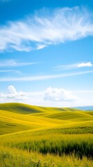 Fototapeta premium Serene Golden Grain Landscape
