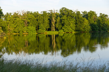 Vogelkolonie, Landschaftsgarten, UNESCO Weltkulturerbe, Lednice,