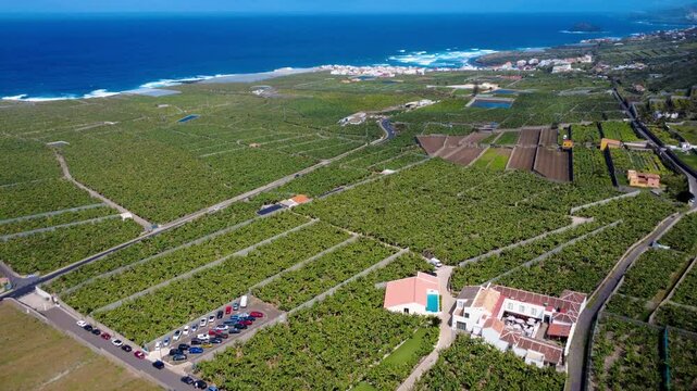 Vistas a&eacute;reas espectaculares de Los Silos, Tenerife &ndash; Naturaleza salvaje y costa impresionante desde el dron