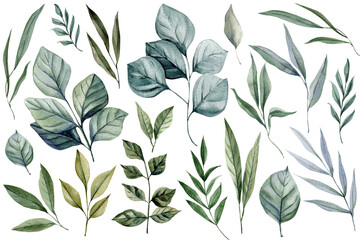 Watercolor Green Leaves Set Botanical Foliage Clipart. Eucalyptus Tropical Leaf Branches. Floral Isolated Wedding Design