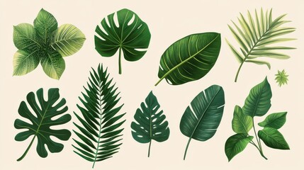A variety of tropical leaves in different shapes and shades of green are beautifully arranged on a light backdrop, showcasing nature's diversity illustration
