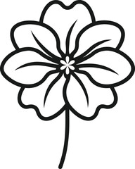 anemone flower illustration