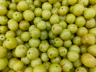 Phyllanthus emblica, also known as emblic, emblic myrobalan, nellikai, Indian gooseberry, Malacca tree, amloki or green amla, is a deciduous tree of Phyllanthaceae family. most medicinal herbal fruit