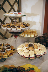 Traditional European Cakes – Polish Cheesecake & Poppy Seed Roll – Indulgent Sweets