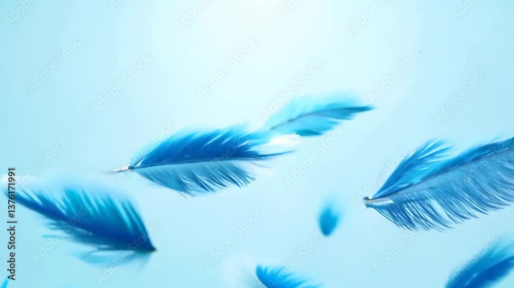 Poster a blue feather with a white background. the feather is in the middle of the image