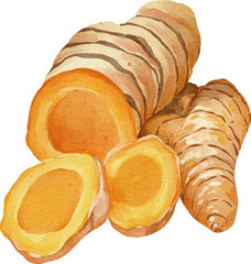 watercolor turmeric
