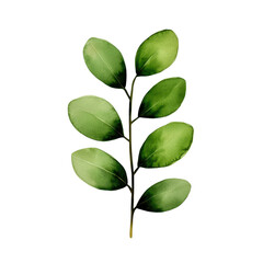A vibrant green leaf branch showcasing nature's beauty and tranquility. transparent background.