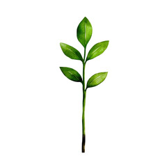 Fototapeta premium A vibrant green sprig with fresh leaves, symbolizing nature and growth. transparent background.
