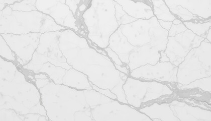 Fototapeta premium Intricate veins of white and grey in polished marble , glossy, veins