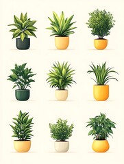 Potted Plants Collection.