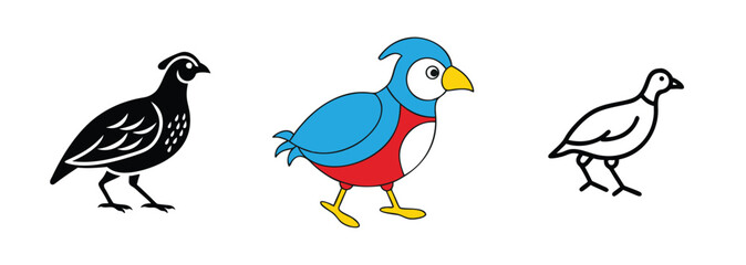Three Quail Bird Illustrations Black, Colorful, Outline