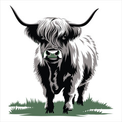 Majestic Highland Cow in a Striking Black and White Illustration