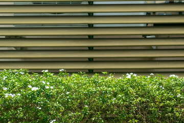 Green Shrubs Against Modern Architectural Structure