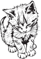 Cute kitten. Hand drawn vector illustration