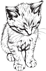 Obraz premium Cute kitten. Hand drawn vector illustration