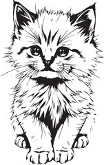 Cute kitten. Hand drawn vector illustration
