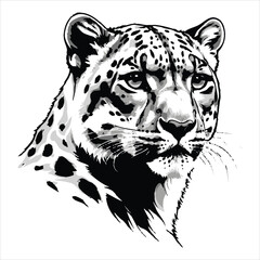 A detailed, artistic black and white illustration of a snow leopard's head.