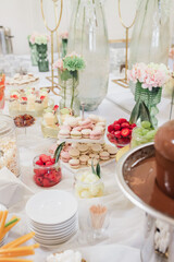 Pastel Pink Macarons – Trendy French Sweets and Indulgent Treats