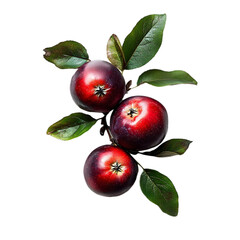 Dark red apples with green leaves on branch, isolated on white background, perfect for organic fruit packaging, healthy eating visuals, seasonal harvest designs, and natural food product displays.

