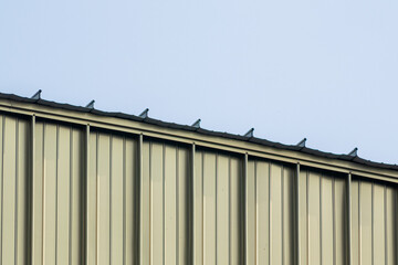 Roof Edge with Birds on a Clear Sky Background