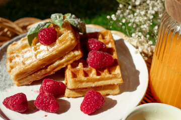 Juicy waffles drizzled with honey, topped with fresh raspberries and basil leaves, served on a straw tray on grass. A perfect picnic treat with a glass of juice, full of vitamins  for a warm day